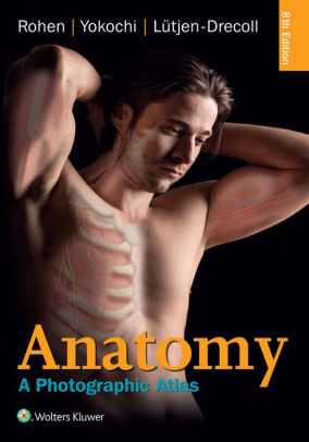Anatomy - A Photographic Atlas 8th Edition by Rohen