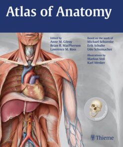 Atlas of Anatomy (Thieme Anatomy) By Anne M Gilroy