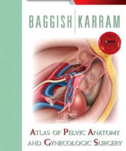 Atlas of Pelvic Anatomy and Gynecologic Surgery 4th Ed by Baggish