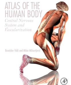 Atlas of the Human Body - Central Nervous System and Vascularization by Branislav Vidic