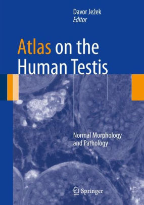 Atlas on the Human Testis - Normal Morphology and Pathology by Davor Jezek