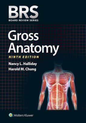 BRS Gross Anatomy 9th Edition by Nancy L. Halliday