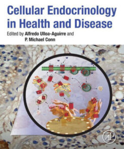 Cellular Endocrinology in Health and Disease by Ulloa Aguirre