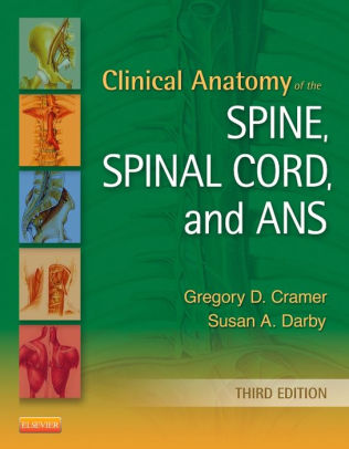 Clinical Anatomy of the Spine