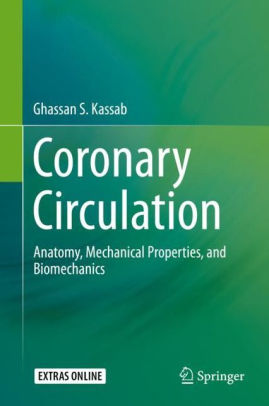 Coronary Circulation - Anatomy
