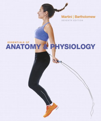 Essentials of Anatomy & Physiology 7th Edition by Martini