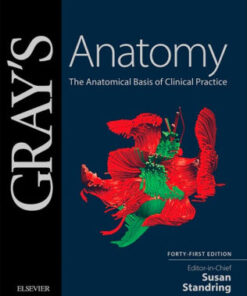 Gray's Anatomy 41st Edition by Susan Standring