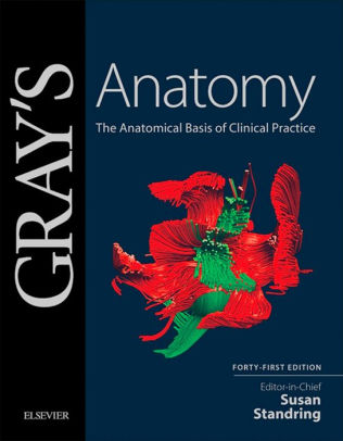 Gray's Anatomy 41st Edition by Susan Standring