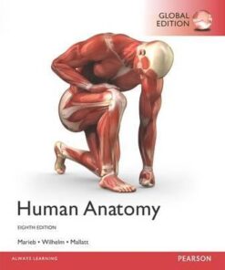 Human Anatomy 8th Global Edition By Elaine Marieb