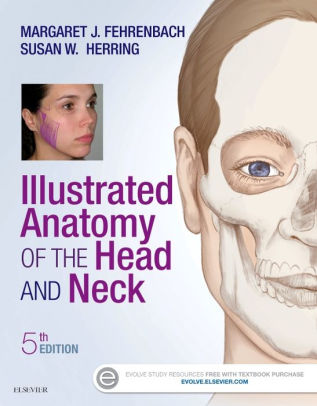 Illustrated Anatomy of the Head and Neck 5th Edition by Fehrenbach