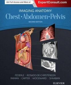 Imaging Anatomy - Chest