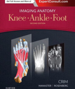 Imaging Anatomy - Knee