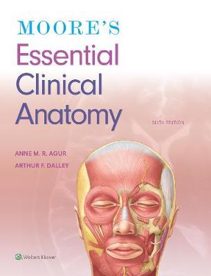 Moore's Essential Clinical Anatomy 6th Edition By Agur