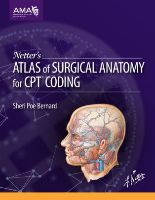 Netter's Atlas of Surgical Anatomy for CPT Coding by Bernard