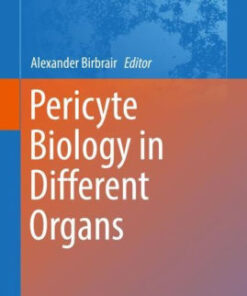 Pericyte Biology in Different Organs by Alexander Birbrair