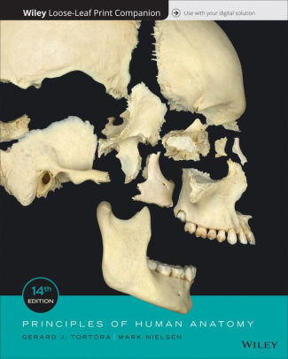 Principles of Human Anatomy 14th Edition by Tortora
