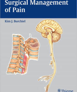 Surgical Management of Pain by Kim J. Burchiel