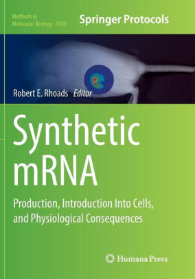 Synthetic mRNA - Production