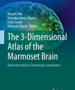 The 3 Dimensional Atlas of the Marmoset Brain by Atsushi Iriki