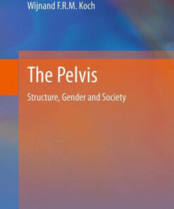 The Pelvis - Structure